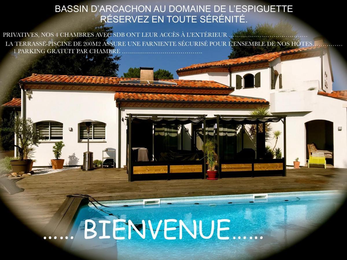 Domaine De L'Espiguette Acomodação com café da manhã Biganos Exterior foto